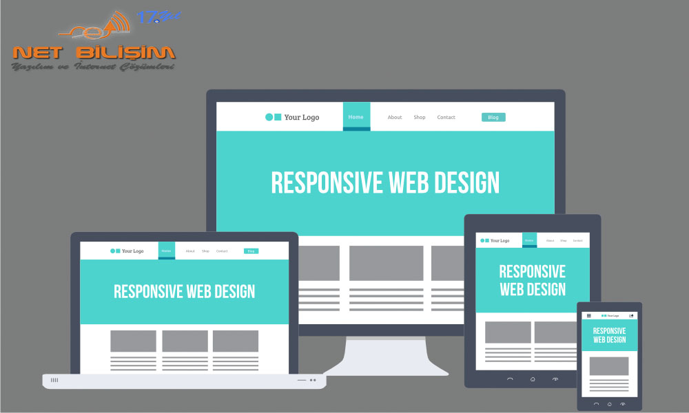 Pendik Web Tasarım, Web Tasarım Nedir, Web Tasarım Unsurları